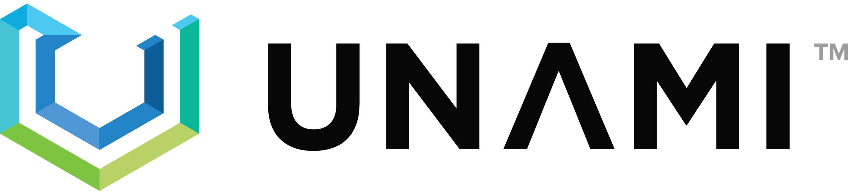 UNAMI Logo